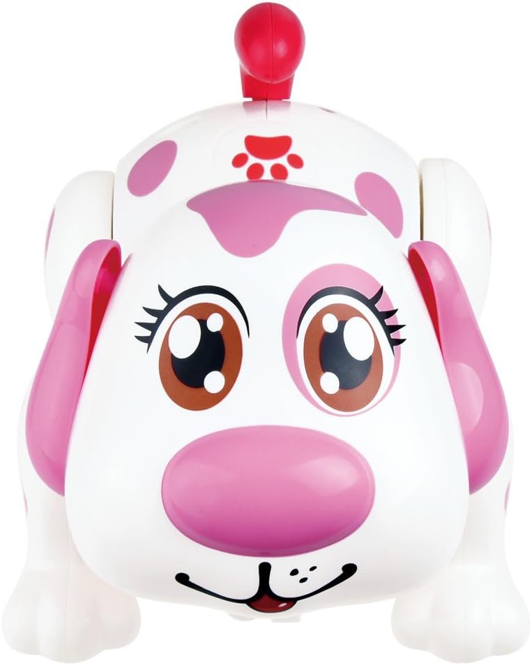 Girl Pet Dog