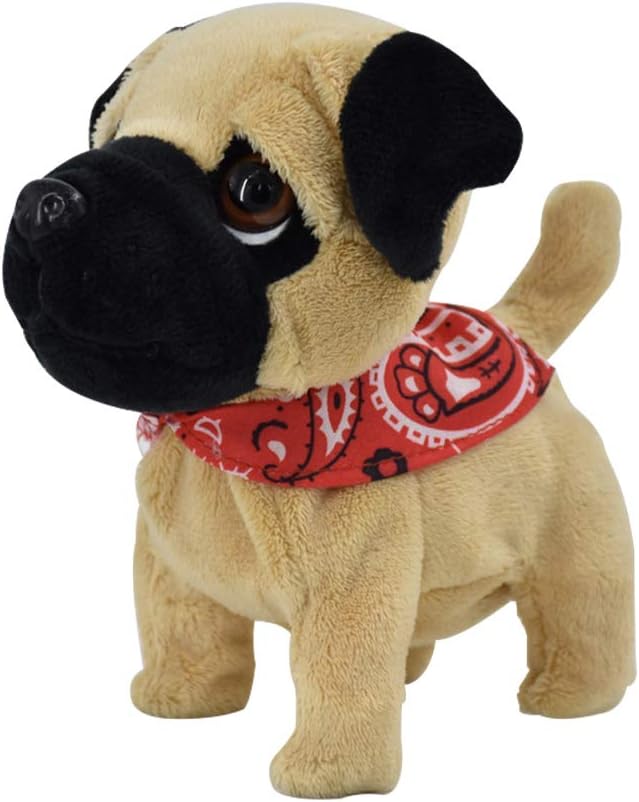 Pug Puppy
